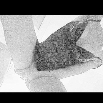 Profil de Shaden, 40 ans, Adultère à Maulusmühle