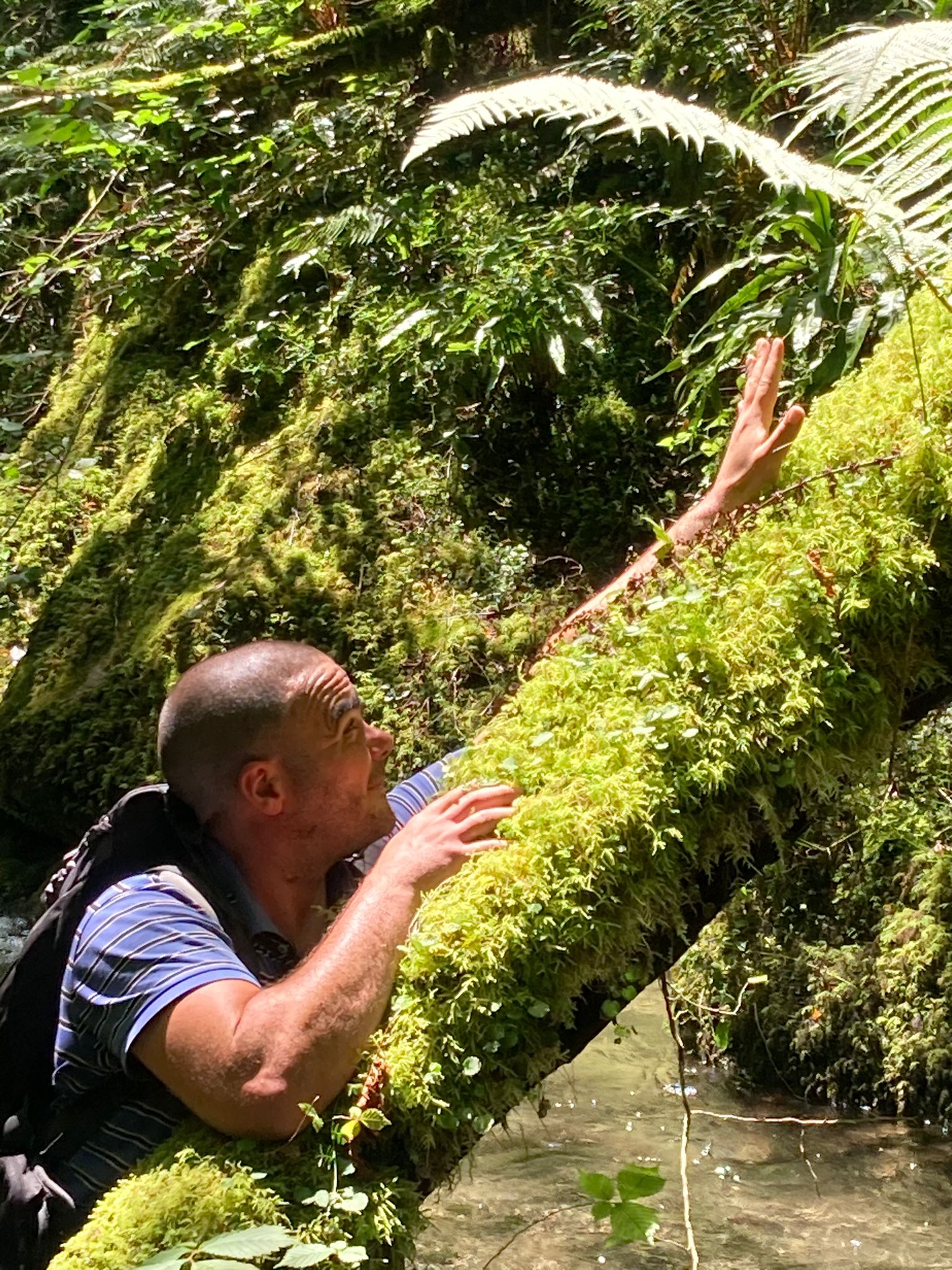 Profil de Amance, 41 ans, Adultère à Kaaspelterhof